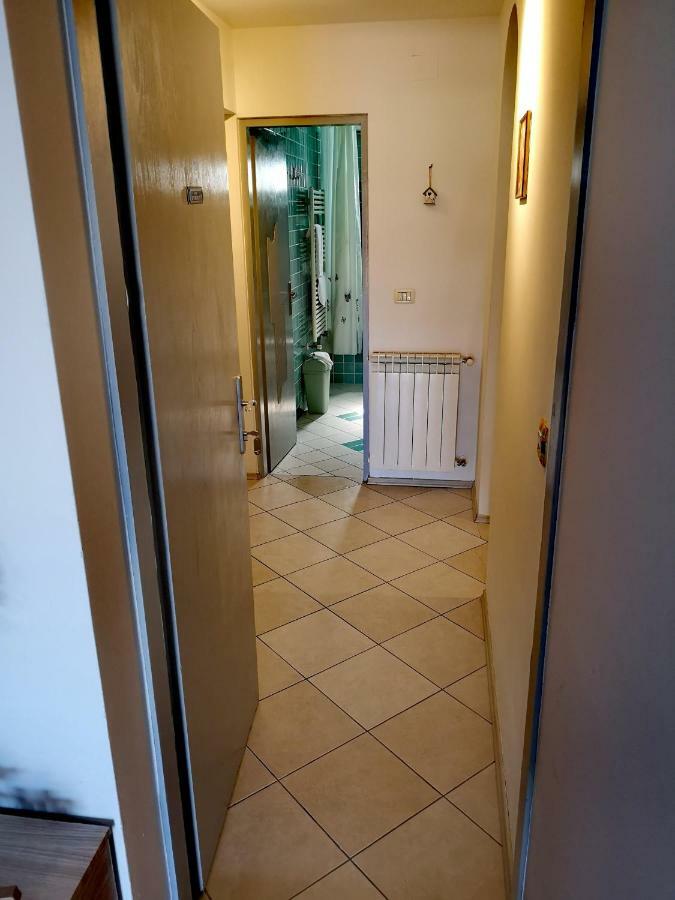 Apartman Olga Umag Exterior foto